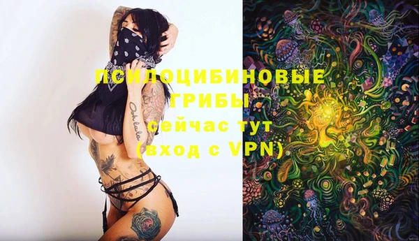 стафф Алексеевка