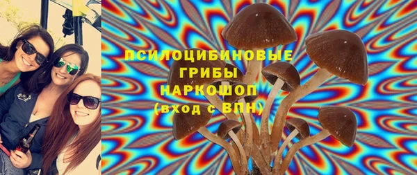 apvp Алзамай