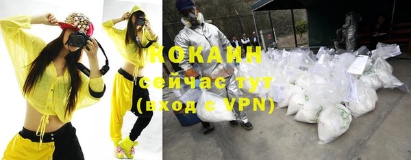 apvp Алзамай