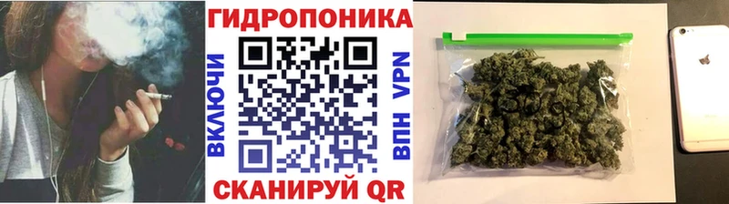 Бошки Шишки план  Нижний Новгород 